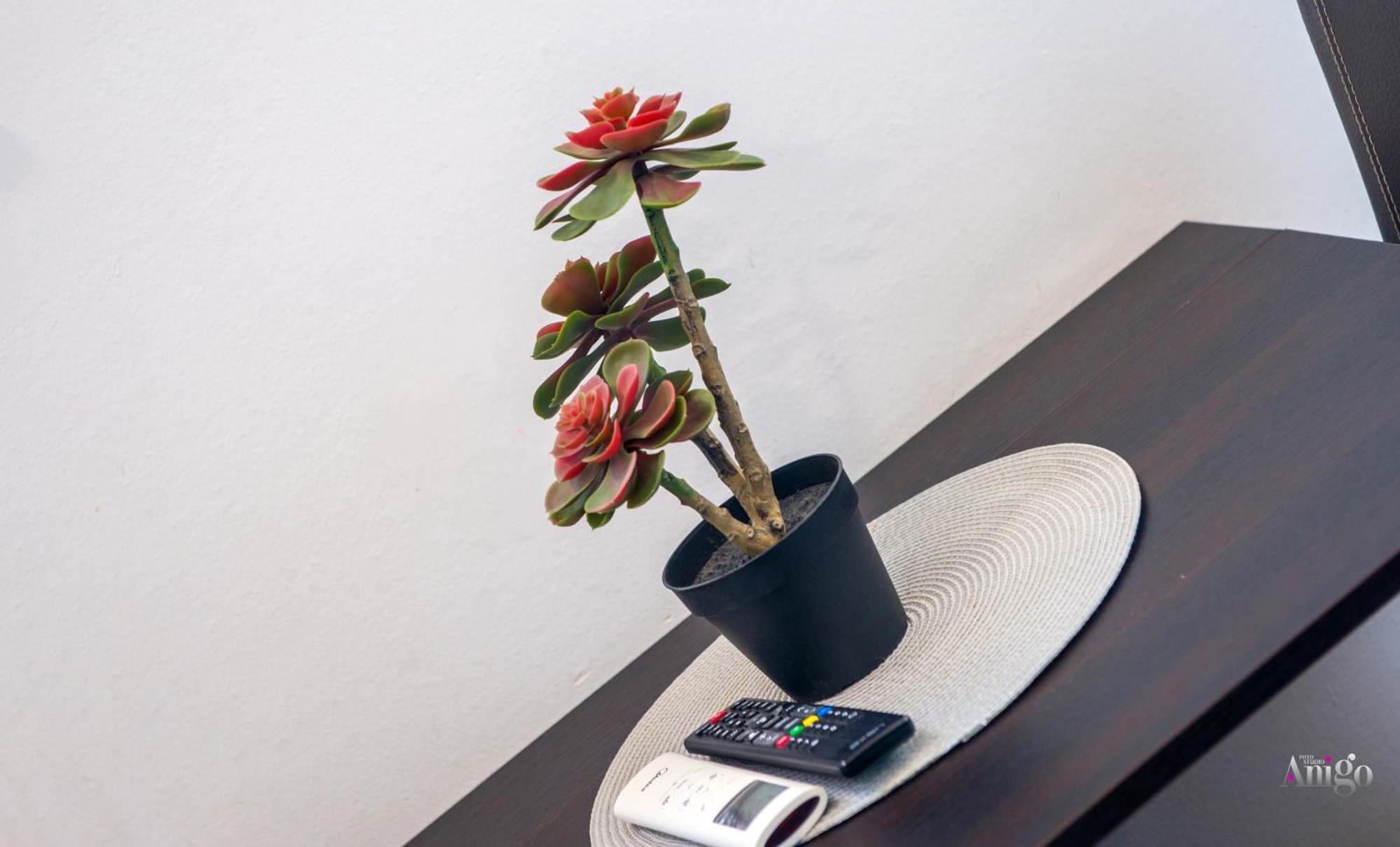 Apartments Enigma - With Private Parking Mostar Bagian luar foto